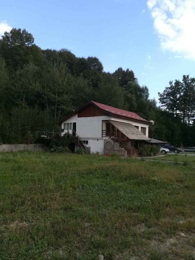 Vila Margareta Curtea De Arges Bagian luar foto