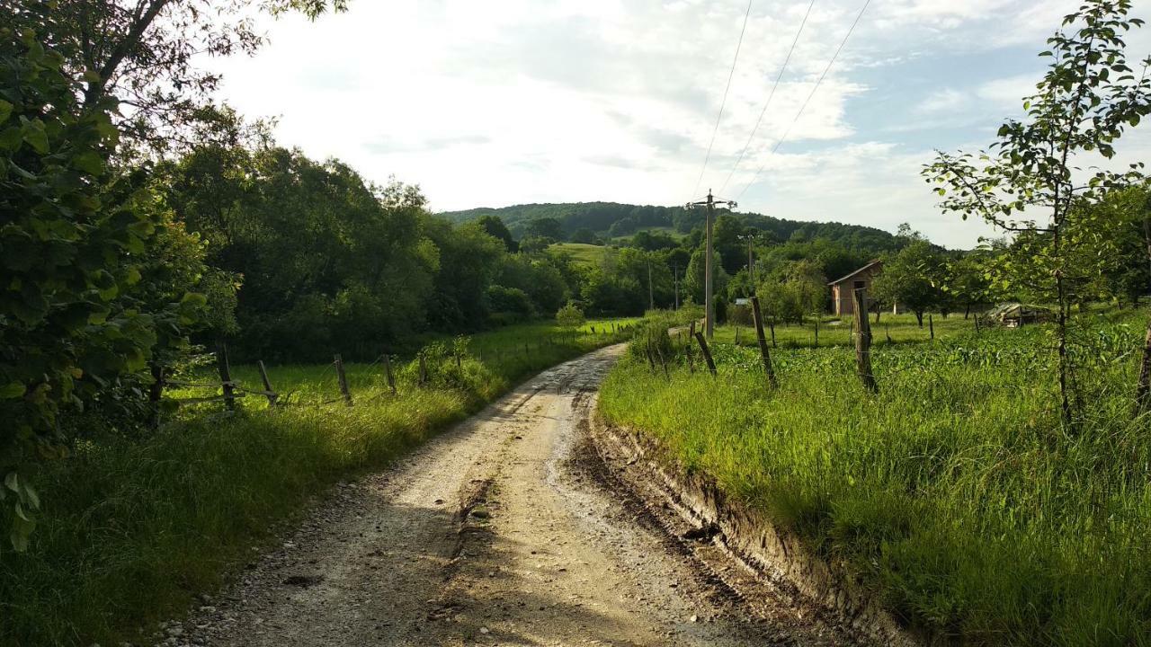 Vila Margareta Curtea De Arges Bagian luar foto