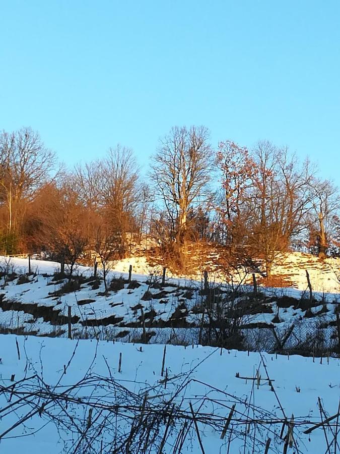Vila Margareta Curtea De Arges Bagian luar foto